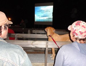 Everglades Ampitheater
