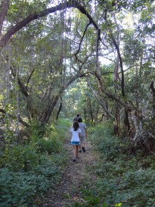 Bear Lake Trail Hike
