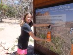 Grand Canyon spring water