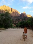 Zion afternoon sun