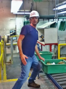 Weighing beets Weighing beets