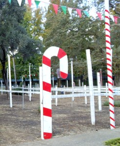 Twas The Night Before The Trees